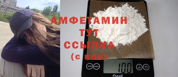 сатива Надым