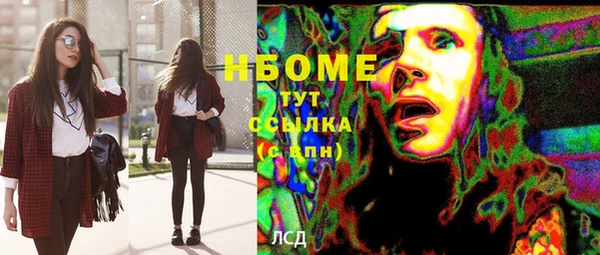 сатива Надым