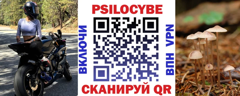 blacksprut зеркало  Шарья  Псилоцибиновые грибы MAGIC MUSHROOMS 